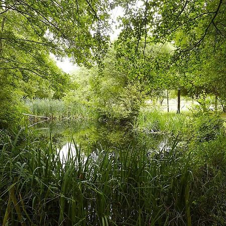 Un Petit Coin De Campagne Dans Le Pays De Saint-Gillesヴィラ エクステリア 写真